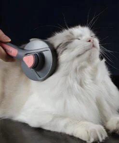 Pakeway T9 - Kattenborstel - Zelfreinigende Kattenkam - Groen - Massageborstel - 19,3 Cm -Hondenbenodigdheden Korting 1005x1200