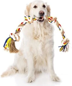 Nobleza Hondentouw - Speeltouw Hond - Flostouw Hond - Trektouw Hond - Lang - Geknoopt -Hondenbenodigdheden Korting 1008x1200 3