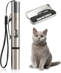Merkloos Laserpen - USB Oplaadbaar - Kattenspeeltjes - Verschillende Standen - Zilver - Houder 5 Merkloos Laserpen - USB Oplaadbaar - Kattenspeeltjes - Verschillende Standen - Zilver - Houder -Hondenbenodigdheden Korting 1009x1200