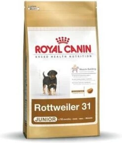 Royal Canin Rottweiler Junior 12 KG 32 Royal Canin Rottweiler Junior 12 KG -Hondenbenodigdheden Korting 1021x1200
