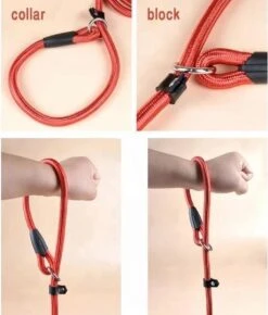 LOUZIR Cesar Millan Sliplijn Met Stop - Hondenriem - Rood - 130 Cm -Hondenbenodigdheden Korting 1023x1200 3