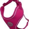 DDOXX Hondenharnas, Reflecterend, Verstelbaar, Breakaway | Borstharnas Voor Klein, Middelgroot | Hondenharnas Hond Kat Puppy Auto | Kattenharnas Puppy Harnas | Roze Roze, S