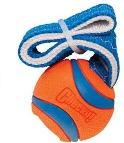 Chuckit! Chuckit Ultra Tug – Hondenspeelgoed - Blauw/Oranje – Large - ø 7 Cm -Hondenbenodigdheden Korting 1042x1200 7