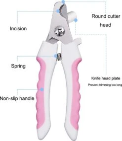 Merkloos Professionele Nagelschaar - Dieren Nagelschaar - Roze - Honden Nagelknipper - Hondennagels - Honden Knip Schaar - Honden Knipsch 8 Merkloos Professionele Nagelschaar - Dieren Nagelschaar - Roze - Honden Nagelknipper - Hondennagels - Honden Knip Schaar - Honden Knipsch -Hondenbenodigdheden Korting 1043x1200 3