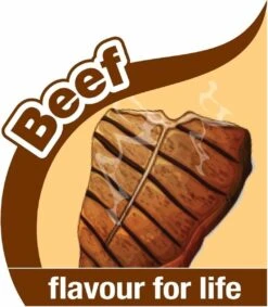 Nylabone Flexi Voor Honden Puppy Teething X Bone Beef Tot 11 Kg -Hondenbenodigdheden Korting 1048x1200 2