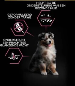 Pro Plan Medium Puppy Sensitive Skin - Honden Droogvoer - Zalm - 12 Kg 28 Pro Plan Medium Puppy Sensitive Skin - Honden Droogvoer - Zalm - 12 Kg -Hondenbenodigdheden Korting 1048x1200