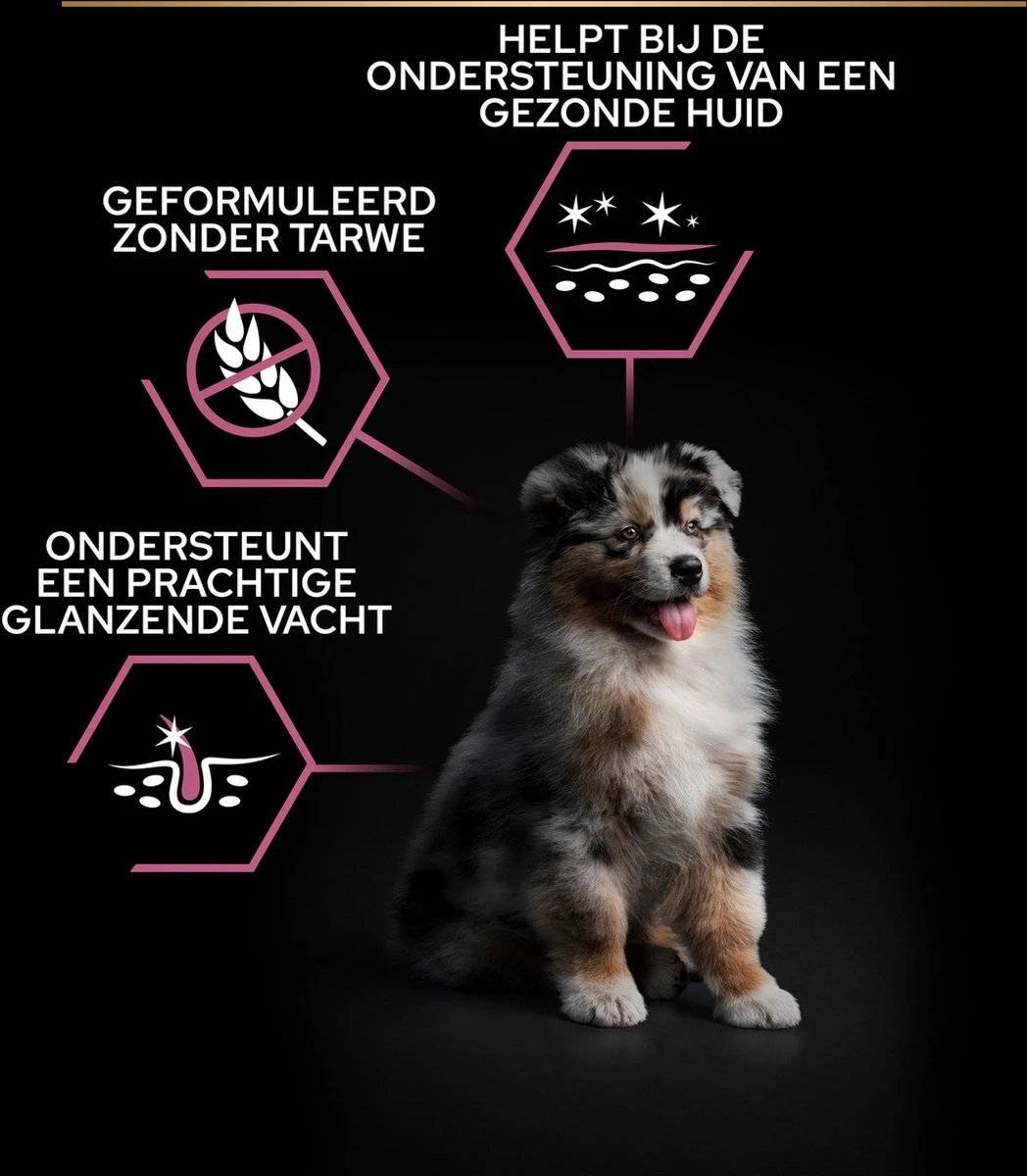 Pro Plan Medium Puppy Sensitive Skin - Honden Droogvoer - Zalm - 12 Kg 13 Pro Plan Medium Puppy Sensitive Skin - Honden Droogvoer - Zalm - 12 Kg - Afbeelding 13