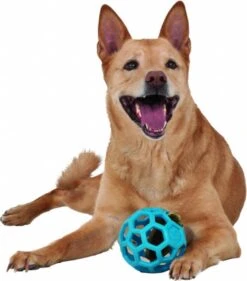 JW HOL-EE ROLLER – Hondenbal Rubber – 15 Cm - Large - 1 Stuk -Hondenbenodigdheden Korting 1053x1200 6
