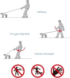 IGOODS - Uitlaatriem - Honden Riem - Katten Riem - Uitlaatriem Voor Dieren Rollijn - Hondenriem - 5 Meter Lang - Grijs 17 IGOODS - Uitlaatriem - Honden Riem - Katten Riem - Uitlaatriem Voor Dieren Rollijn - Hondenriem - 5 Meter Lang - Grijs -Hondenbenodigdheden Korting 1072x1200 2