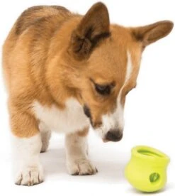 West Paw Toppl Zogoflex - Uitdagend En Sterk Speelgoed Voor Honden - Slowfeeder - Vulbaar Met Voer Of Snacks - Kleur: Groen, Maat: Large -Hondenbenodigdheden Korting 1075x1200 13