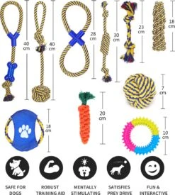 Nobleza Honden Speelgoed Set PLJ - 10 Stuks 13 Nobleza Honden Speelgoed Set PLJ - 10 Stuks -Hondenbenodigdheden Korting 1076x1200 4
