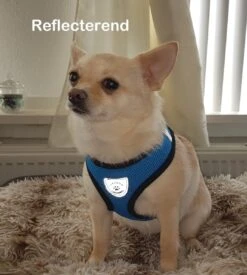 Luxyana® Hondentuigje - S - 28-32cm - Geschikt Voor Kleine Honden En Als Kattenharnas - Easy Step-in Hondentuigje Voor De Kleine Hond Of Kat - Inclusief Bijpassend Riempje - Zwart -Hondenbenodigdheden Korting 1076x1200 7