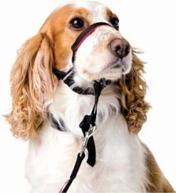 Halti OptiFit Headcollar - Hond - Anti Trekhalsband - Maat M - Voor Labrador, Boxer, Dobermann, Golden Retriever -Hondenbenodigdheden Korting 1092x1200