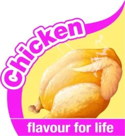 Nylabone Harde Bijters Kluif - Kip - Voor Honden Tot 30 Kg 24 Nylabone Harde Bijters Kluif - Kip - Voor Honden Tot 30 Kg -Hondenbenodigdheden Korting 1102x1200 5