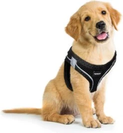 Topmast Airmesh Hondentuig - Click & Go - Petrol - S - Reflecterend - Harnas Hond - Hondentuigje - Hondenharnas - Voor Puppy, Kleine, Medium En Grote Hond 6 Topmast Airmesh Hondentuig - Click & Go - Petrol - S - Reflecterend - Harnas Hond - Hondentuigje - Hondenharnas - Voor Puppy, Kleine, Medium En Grote Hond -Hondenbenodigdheden Korting 1104x1200 4