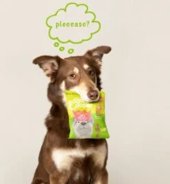 Merkloos Edgard & Cooper Lam & Rund Bites - Voor Honden - Hondensnack - 50g -Hondenbenodigdheden Korting 1115x1200 1