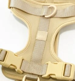 Pood Anti-Trek Hondentuig - Verstelbaar Stijlvol Hondenharnas - Y Tuig - XS Kleine Hond - Beige -Hondenbenodigdheden Korting 1118x1200 7