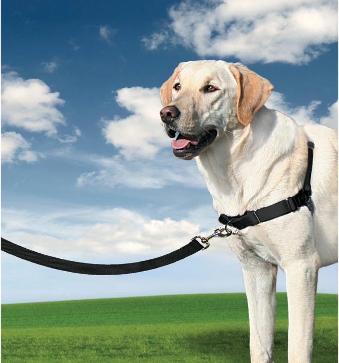 PetSafe Easy Walk® - Hondentuigje - Zwart - L - 66-91 Cm 13 PetSafe Easy Walk® - Hondentuigje - Zwart - L - 66-91 Cm - Afbeelding 13