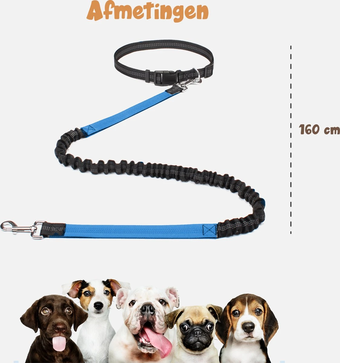 Hardloopriem Hond – Honden Riem Handsfree – Hardlopen Met Hond – 160-260 Cm Blauw - Hardloopband Hond – Halsband Hond – Hondenlijn – Leiband Hond 4 Hardloopriem Hond – Honden Riem Handsfree – Hardlopen Met Hond – 160-260 Cm Blauw - Hardloopband Hond – Halsband Hond – Hondenlijn – Leiband Hond - Afbeelding 4