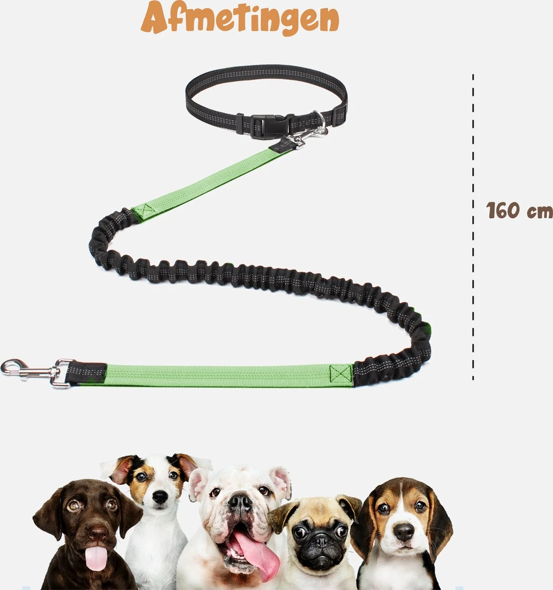 Hardloopriem Hond – Honden Riem Handsfree – Hardlopen Met Hond – 160-260 Cm Groen- Hardloopband Hond – Halsband Hond – Hondenlijn – Leiband Hond 2 Hardloopriem Hond – Honden Riem Handsfree – Hardlopen Met Hond – 160-260 Cm Groen- Hardloopband Hond – Halsband Hond – Hondenlijn – Leiband Hond - Afbeelding 2