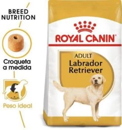 Royal Canin Labrador Retriever Adult 12 KG -Hondenbenodigdheden Korting 1125x1200 2