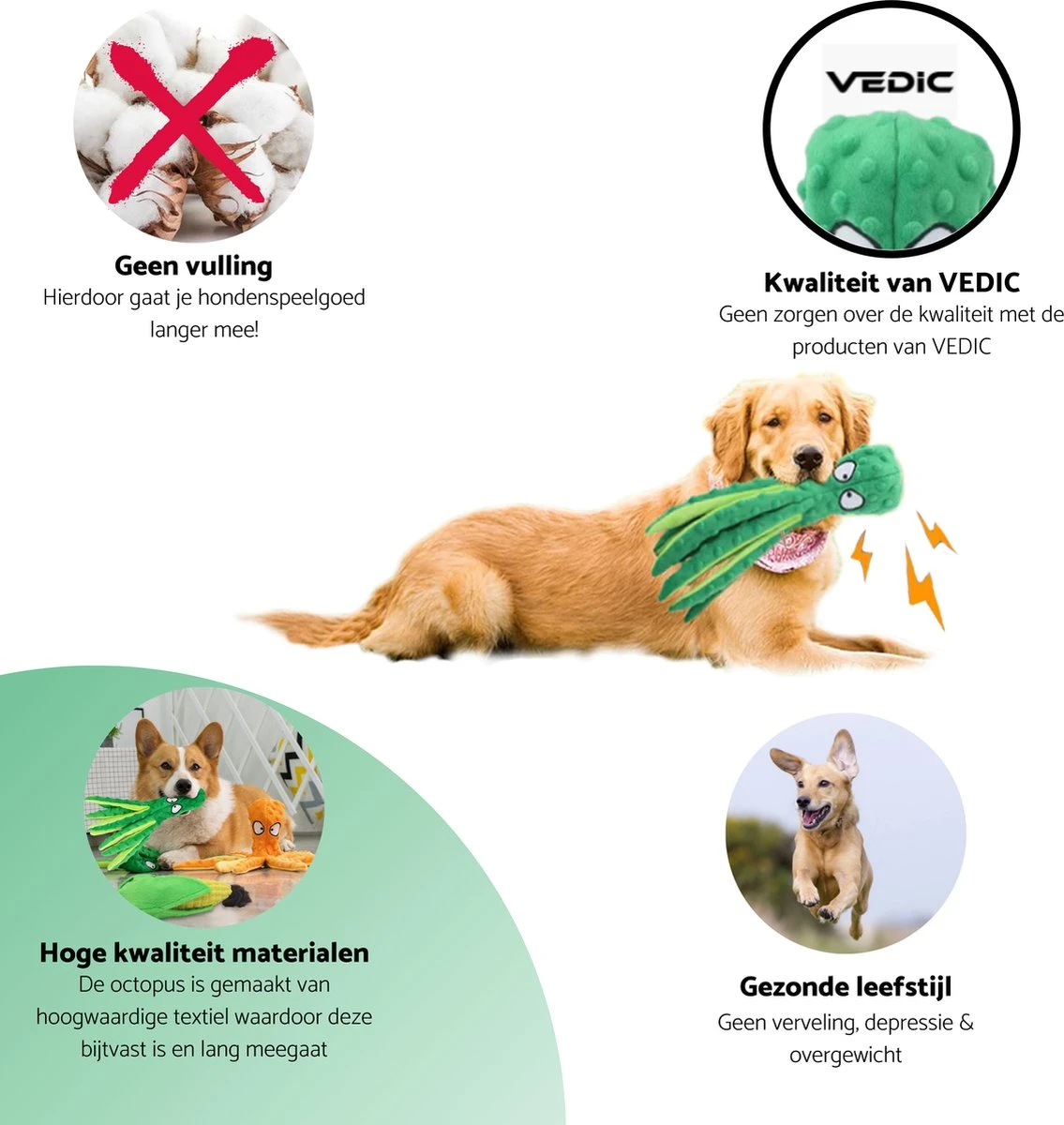 VEDIC® - Octopus Honden Knuffel Set Van 4 - Piepspeelgoed - Geen Vulling - 32CM - Groen/Blauw/Oranje/Roze 4 VEDIC® - Octopus Honden Knuffel Set Van 4 - Piepspeelgoed - Geen Vulling - 32CM - Groen/Blauw/Oranje/Roze - Afbeelding 4