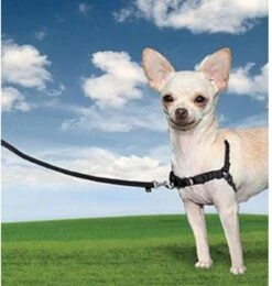 PetSafe Easy Walk® Deluxe Harness - Hondentuig - Blauw - L -1,8 M -Hondenbenodigdheden Korting 1138x1200 7