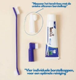 Hond En Kat Tandenborstel Verzorgingsset - Inclusief Tandpasta Met Beefsmaak - Vier Unieke Reinigingsborstels - Fluoride Vrij -Hondenbenodigdheden Korting 1142x1200 2