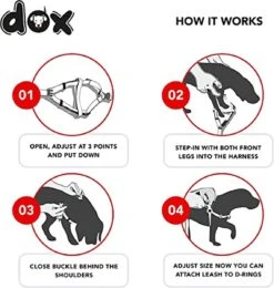 DDOXX Hondenharnas Nylon, Step-In, Verstelbaar, Uitbraakbestendig | Voor Kleine, Middelgrote & Grote Honden | Borstharnas Hond Kat Puppy Auto | Puppy Harnas Kat Harnas | Rood, S -Hondenbenodigdheden Korting 1142x1200 6