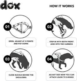 DDOXX Hondenharnas Nylon, Step-In, Verstelbaar, Uitbraakbestendig | Voor Kleine, Middelgrote & Grote Honden | Borstharnas Hond Kat Puppy Auto | Puppy Harnas Kat Harnas | Zwart, S -Hondenbenodigdheden Korting 1142x1200 7