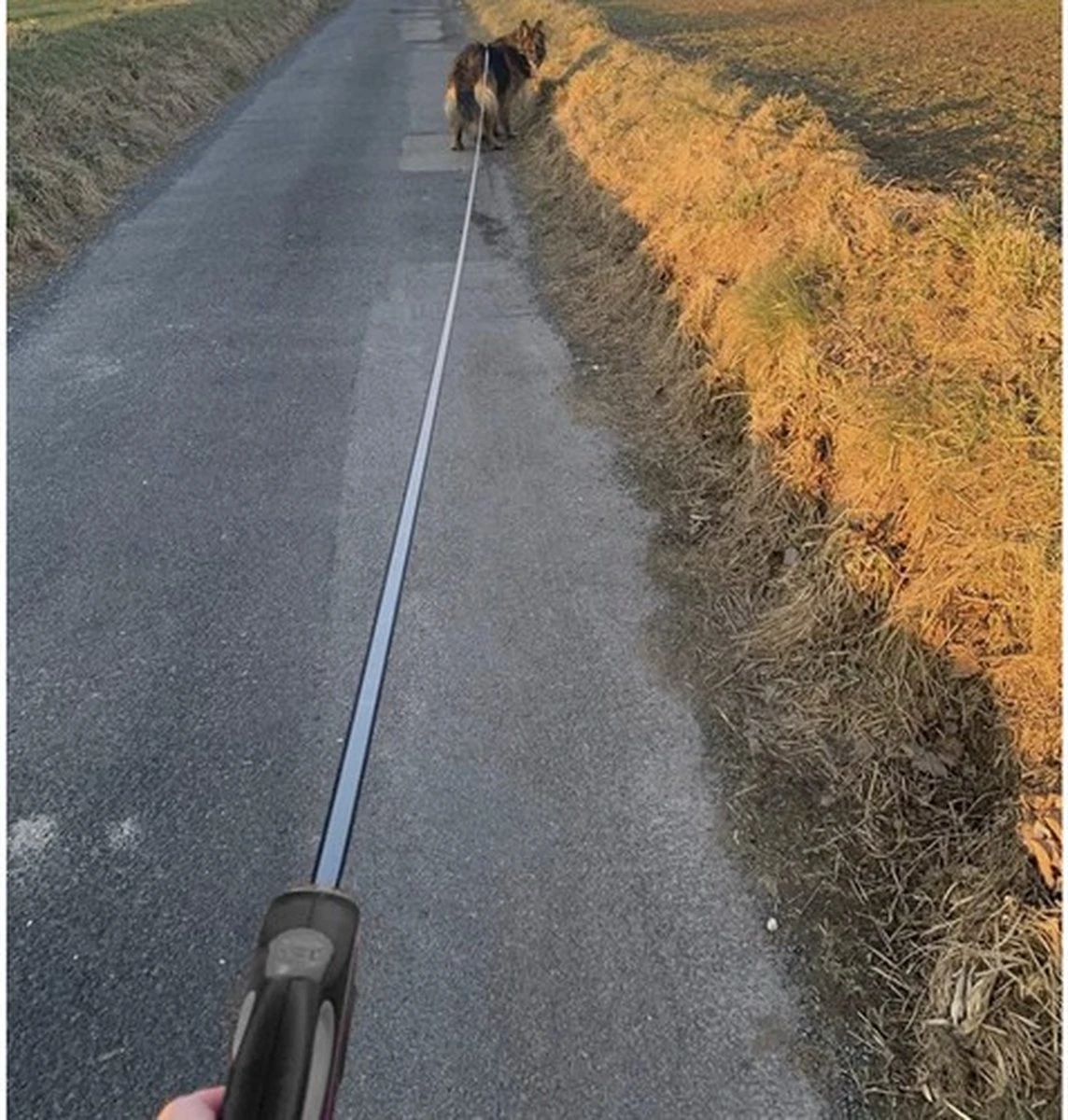 Hondenriem-Looplijn-Zwart/Grijs-8 Meter Oprol-Hond Lijn-Automatisch Rollijn 11 Hondenriem-Looplijn-Zwart/Grijs-8 Meter Oprol-Hond Lijn-Automatisch Rollijn - Afbeelding 11