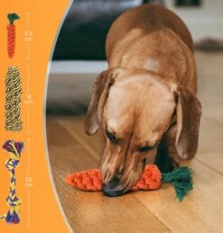 Nobleza Honden Speelgoed Set PLJ - 10 Stuks 12 Nobleza Honden Speelgoed Set PLJ - 10 Stuks -Hondenbenodigdheden Korting 1146x1200 15