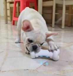 Cheerble Wickedbone|Automatisch Hondenspeeltje|Interactief En Intelligent Speelgoed Voor Honden|App & Bluetooth Bestuurbaar|USB Oplaadbaar 15 Cheerble Wickedbone|Automatisch Hondenspeeltje|Interactief En Intelligent Speelgoed Voor Honden|App & Bluetooth Bestuurbaar|USB Oplaadbaar -Hondenbenodigdheden Korting 1147x1200 7