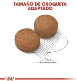 Royal Canin Maxi Adult 15 KG -Hondenbenodigdheden Korting 1149x1200