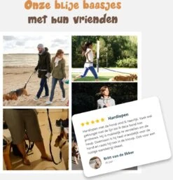 Hardloopriem Hond – Honden Riem Handsfree – Hardlopen Met Hond – 160-260 Cm Groen- Hardloopband Hond – Halsband Hond – Hondenlijn – Leiband Hond 10 Hardloopriem Hond – Honden Riem Handsfree – Hardlopen Met Hond – 160-260 Cm Groen- Hardloopband Hond – Halsband Hond – Hondenlijn – Leiband Hond -Hondenbenodigdheden Korting 1151x1200 10