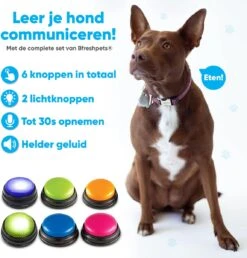 BFreshPets Praatknop Voor Honden - 6 Stuks - Dogbuttons - Hondenspeelgoed - Honden Training - Laat Uw Huisdier Spreken -Hondenbenodigdheden Korting 1151x1200 11