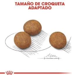 Royal Canin Maxi Puppy 4 KG -Hondenbenodigdheden Korting 1151x1200