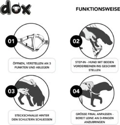 DDOXX Hondenharnas Nylon, Step-In, Verstelbaar, Uitbraakbestendig | Voor Kleine, Middelgrote & Grote Honden | Borstharnas Hond Kat Puppy Auto | Puppy Harnas Kat Harnas | Zwart, S -Hondenbenodigdheden Korting 1155x1200 6