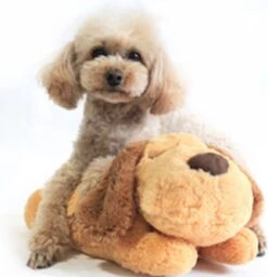 Merkloos Knuffel Met Hartslag Speciaal Voor Puppy's - Snuggle Heart Beat Puppy - Hartslagknuffel - Pluche 16 Merkloos Knuffel Met Hartslag Speciaal Voor Puppy's - Snuggle Heart Beat Puppy - Hartslagknuffel - Pluche -Hondenbenodigdheden Korting 1160x1200 11