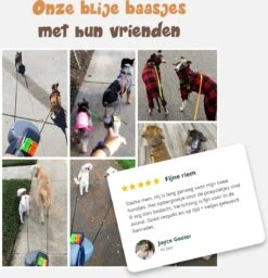 Dubbele Honden Riem – Leiband Hond – Hondenlijn – Looplijn Hond – 2 Honden – 3 Meter – Tot 12kg Per Hond – Reflecterende Lijnen – Met Zaklamp – 360° Draaien – Verstelbaar - Zwart -Hondenbenodigdheden Korting 1160x1200 9