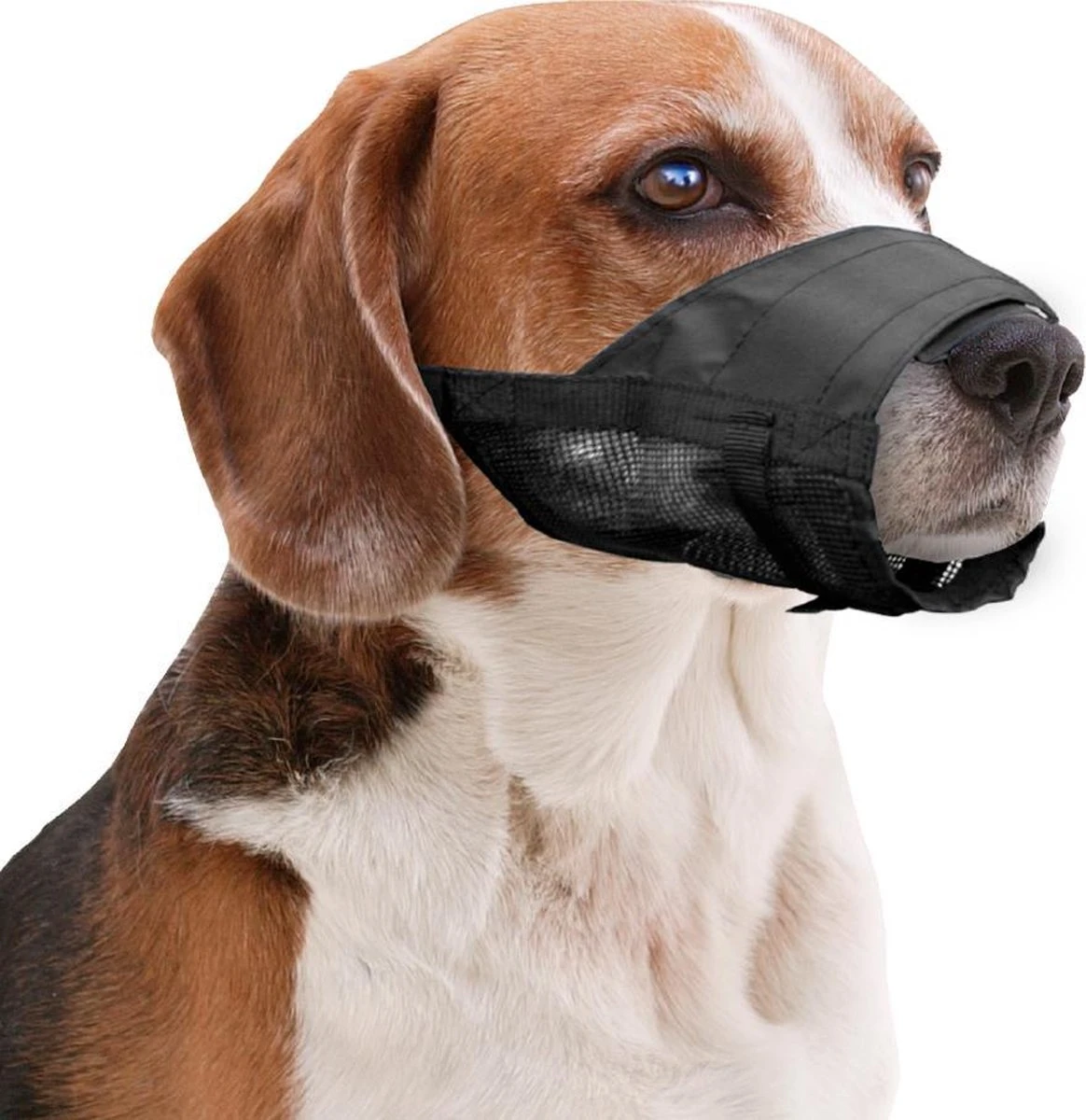 Pawise Muilkorf Adjustable - M - Size 1 Pawise Muilkorf Adjustable - M - Size