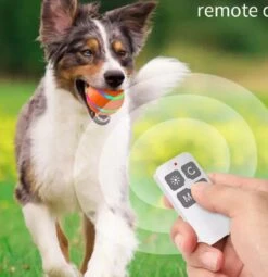 Merkloos Slimme Interactieve Zelf Rollende Bal Voor Honden - 3 Speelmodi - Honden Speelgoed - Hondenspeeltjes - USB Oplaadbaar - Met Afstandsbediening - Intelligente Automatische Roterende Waterproof Led Bal Met Afstandsbediening - Oranje -Hondenbenodigdheden Korting 1164x1200 6