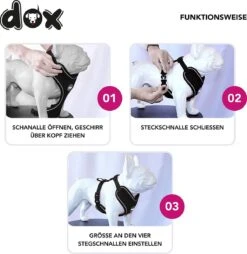 DDOXX Hondenharnas, Reflecterend, Verstelbaar, Breakaway | Borstharnas Voor Klein, Middelgroot | Hondenharnas Hond Kat Puppy Auto | Kattenharnas Puppy Harnas | Roze Roze, S -Hondenbenodigdheden Korting 1165x1200 13