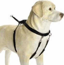 Beeztees Gentle Walker - Hondentuig - Zwart - L -Hondenbenodigdheden Korting 1166x1200 11