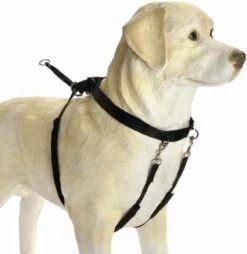 Beeztees Gentle Walker - Hondentuig - Zwart - M -Hondenbenodigdheden Korting 1166x1200 13