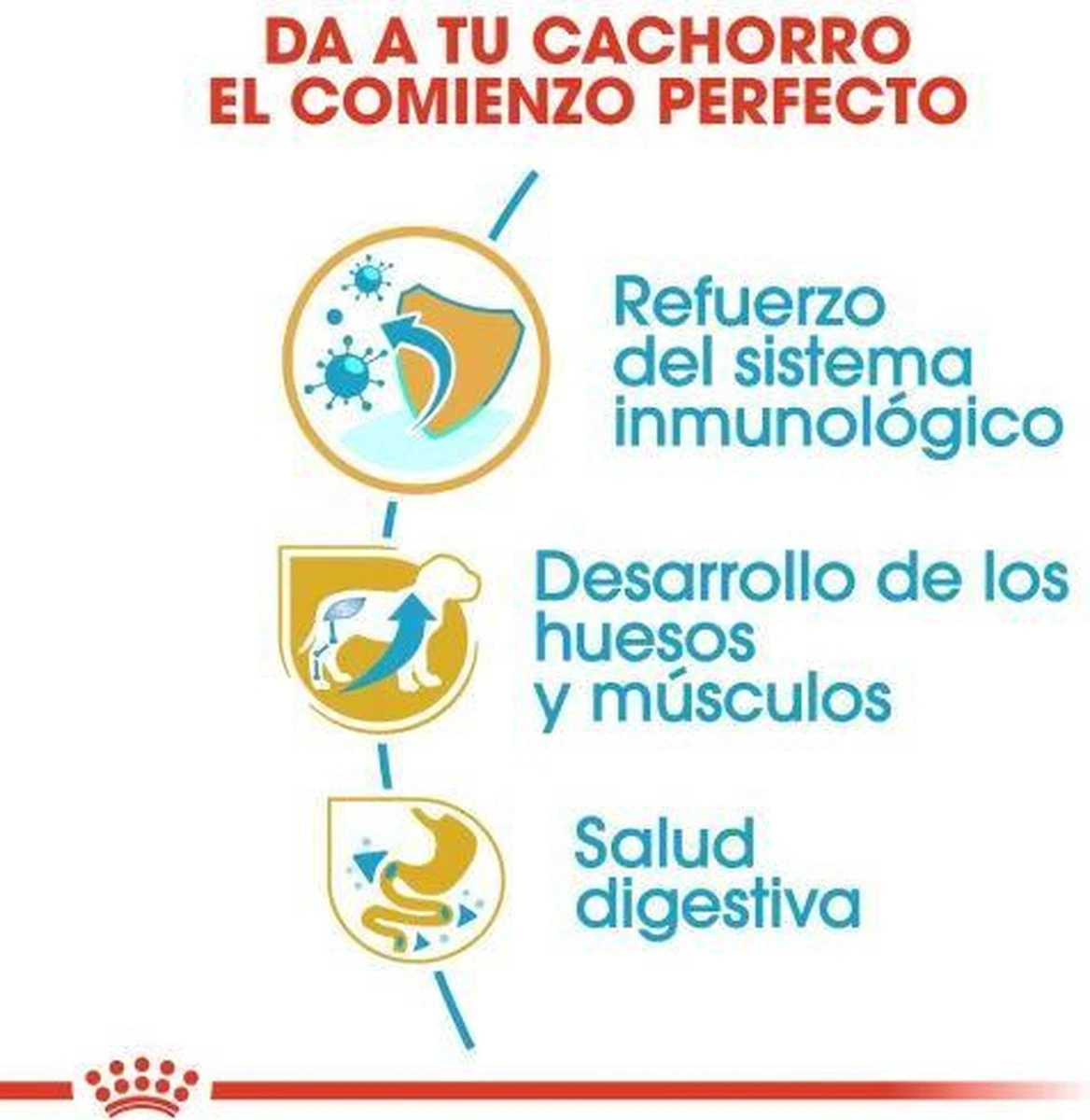 Royal Canin Rottweiler Junior 12 KG 8 Royal Canin Rottweiler Junior 12 KG - Afbeelding 8