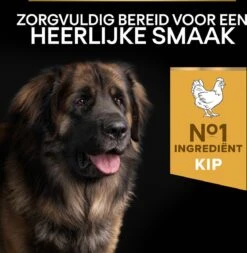 Pro Plan Everyday Nutrition Large Robust Adult - Honden Droogvoer - Kip - 14 Kg -Hondenbenodigdheden Korting 1171x1200 1