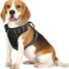 Nobleza 42ZHX - Hondenharnas - Hondentuigje - Anti Trek - M - Zwart