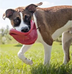 Kong Flyer Frisbee - Hondenspeelgoed - Rood - Ø25 Cm -Hondenbenodigdheden Korting 1174x1200 9