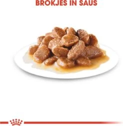 Royal Canin Shn Mini Adult Pouch - Hondenvoer - 12 X 85 G -Hondenbenodigdheden Korting 1177x1200